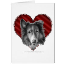 Collie con el corazón felicitaciones