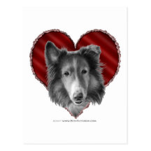 Collie con el corazón tarjeta postal