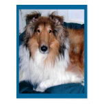 Collie de Tennyson-A Tarjeta Postal