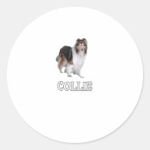 Collie Etiquetas Redondas