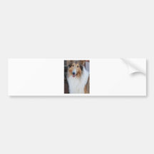 Collie Pegatina De Parachoque