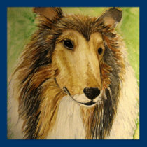collie posters