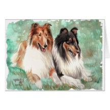 Collies Felicitaciones
