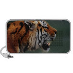 Colmillos de los tigres mini altavoces