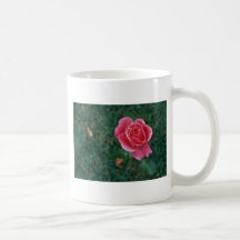 Colocación para el amor taza