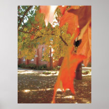 Color de agua de la hoja del otoño poster