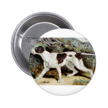 Color de agua del perro del indicador pins