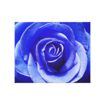 Color de rosa azul impresiones en lienzo estiradas