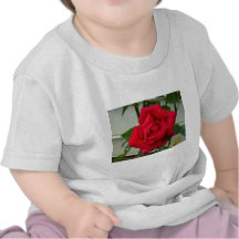 Color de rosa camisetas