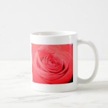 color de rosa color de rosa, de color rosa oscuro tazas de café