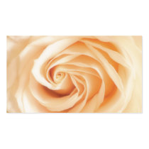 Color de rosa de marfil suave tarjetas de negocio