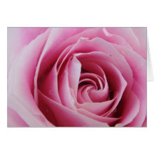 Color de rosa felicitacion 