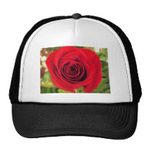 Color de rosa gorras de camionero