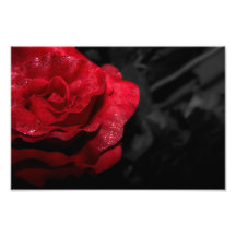 Color de rosa gótico arte con fotos