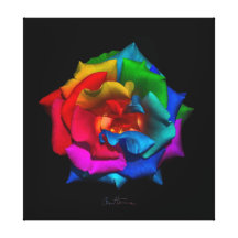 Color de rosa multicolor lona estirada galerias