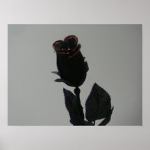 color de rosa negro posters