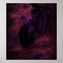 Color de rosa negro posters