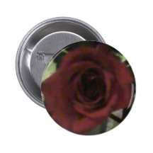 color de rosa pin