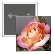 Color de rosa pin