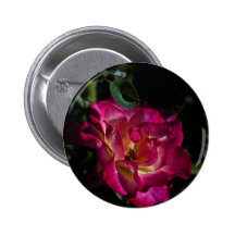 Color de rosa pins