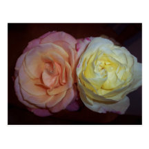 COLOR DE ROSA POSTAL