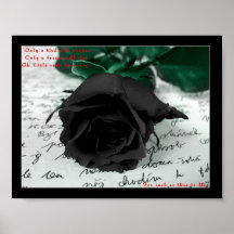 Color de rosa poster