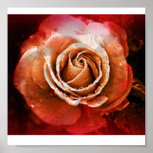Color de rosa posters