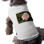 Color de rosa rosa claro camisetas de perro
