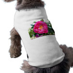 Color de rosa rosado brillante ropa de perros