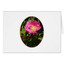 Color de rosa rosado brillante tarjetas