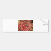 Color de rosa rosado con los anillos de bodas etiqueta de parachoque