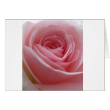 Color de rosa rosado cualquier cosa tarjeta
