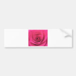 Color de rosa rosado etiqueta de parachoque