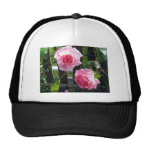 Color de rosa rosado gorra