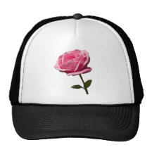 Color de rosa rosado gorra