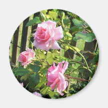 Color de rosa rosado iman de nevera