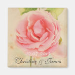 Color de rosa rosado, imán del boda del vintage