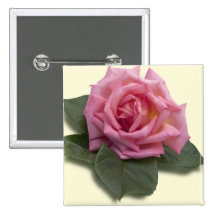 Color de rosa rosado pin