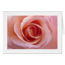 Color de rosa rosado tarjeta