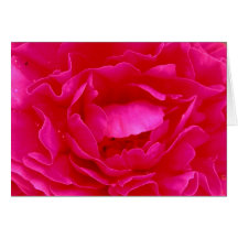 Color de rosa rosado tarjetas