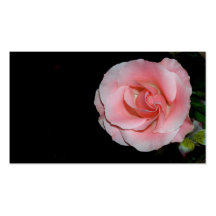 Color de rosa rosado tarjetas de visita