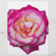 Color de rosa rosado tarjetas publicitarias