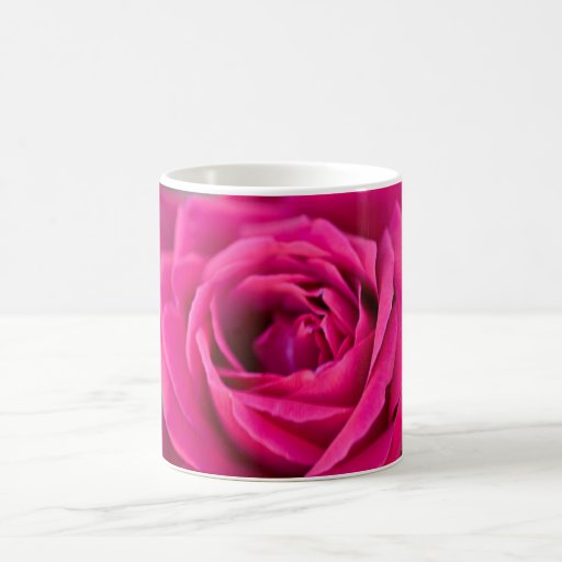 Color de rosa rosado taza
