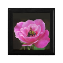 Color de rosa rosados y manosean la abeja cajas de regalo