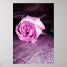 color de rosa solo poster