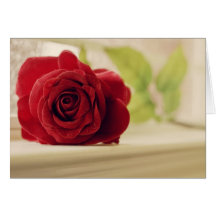 COLOR DE ROSA TARJETON
