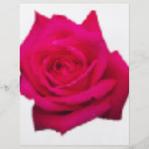 Color de rosa tarjeton