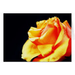 Color de rosa tarjetón