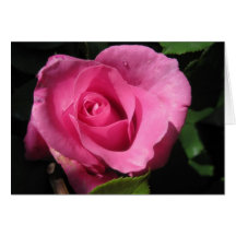 Color de rosa tarjetón