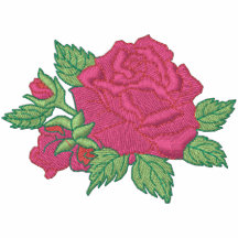 Color de rosa y brote